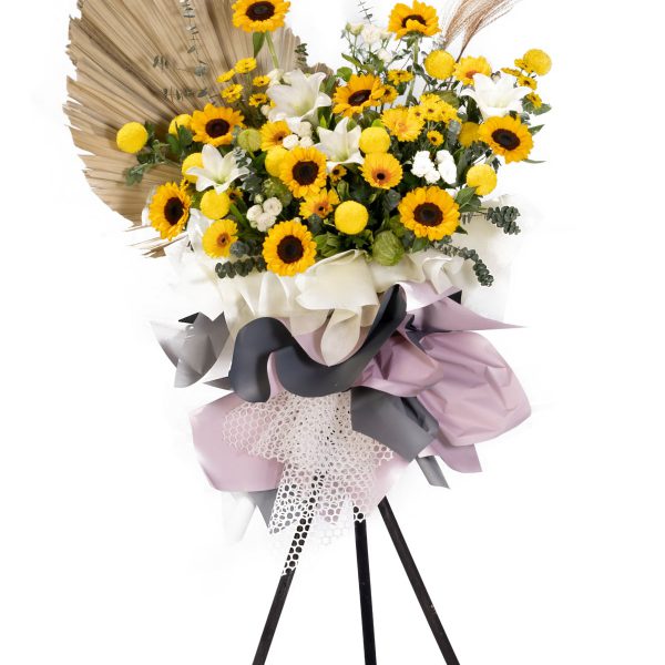 Finest Sympathy #211 - Image 1